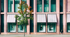 the benefits of commercial window tinting for businesses